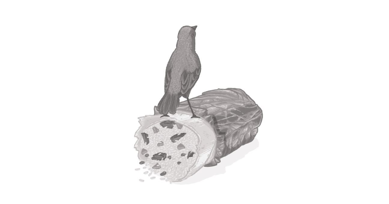 An image of a bird sitting on a burrito, showing how Chipotle's fake Twitter hack has eaten away at the brand's credibility.