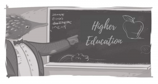 echidna pointing to black board that says higher education with drawings