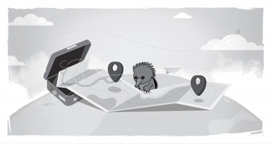 Echidna looking at map, with a suitcase