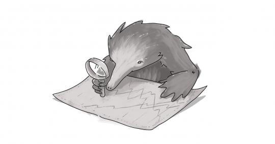echidna looking at paper using magnifying glass
