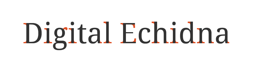 An image that shows the difference between Serif and Sans Serif fonts, using the term Digital Echidna.