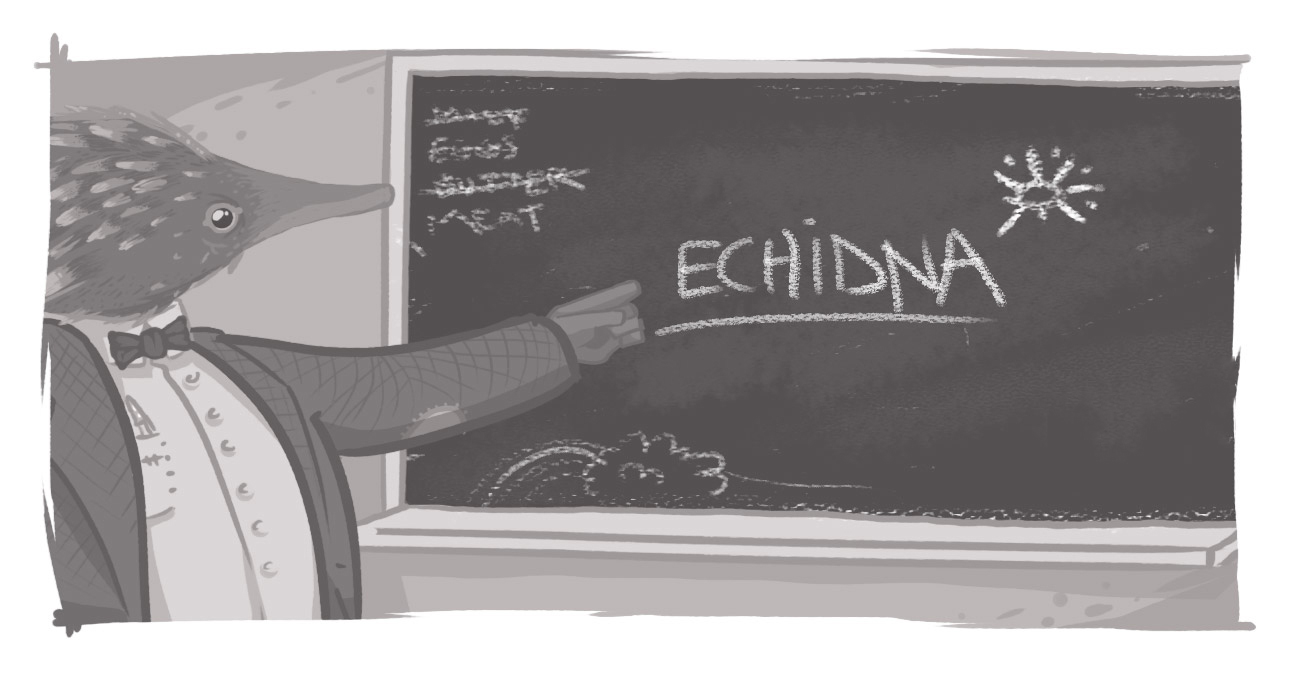 An image of an echidna at a blackboard.