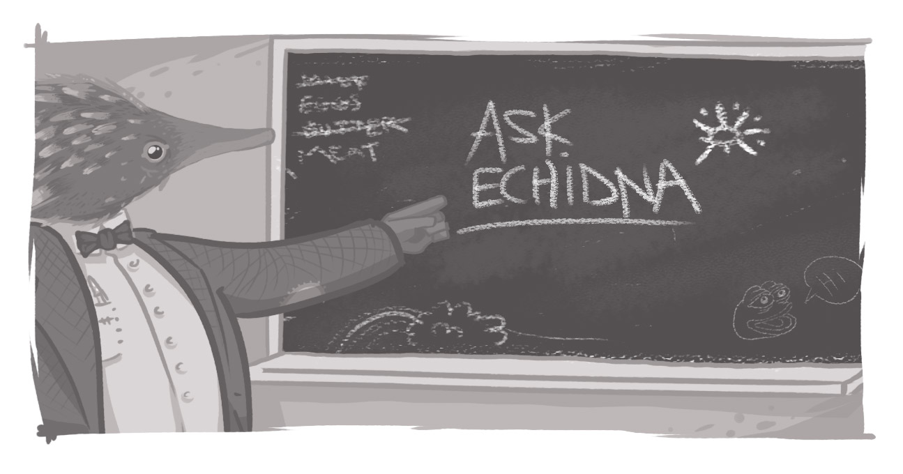 Ask Echidna written on chalkboard