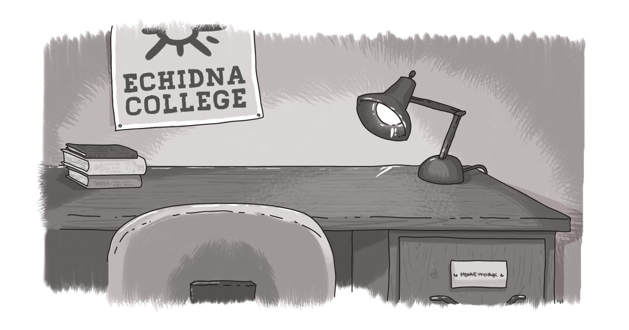 desk with Echidna College poster on wall