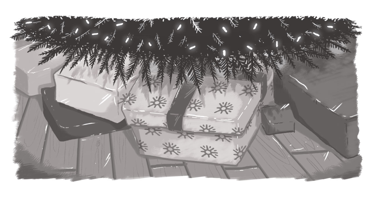 A picture of a gift underneath a Christmas tree, wrapped with Echidna-branded wrapping paper.