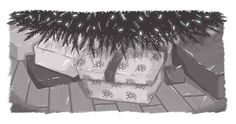 An image of echidna-wrapped Christmas presents.