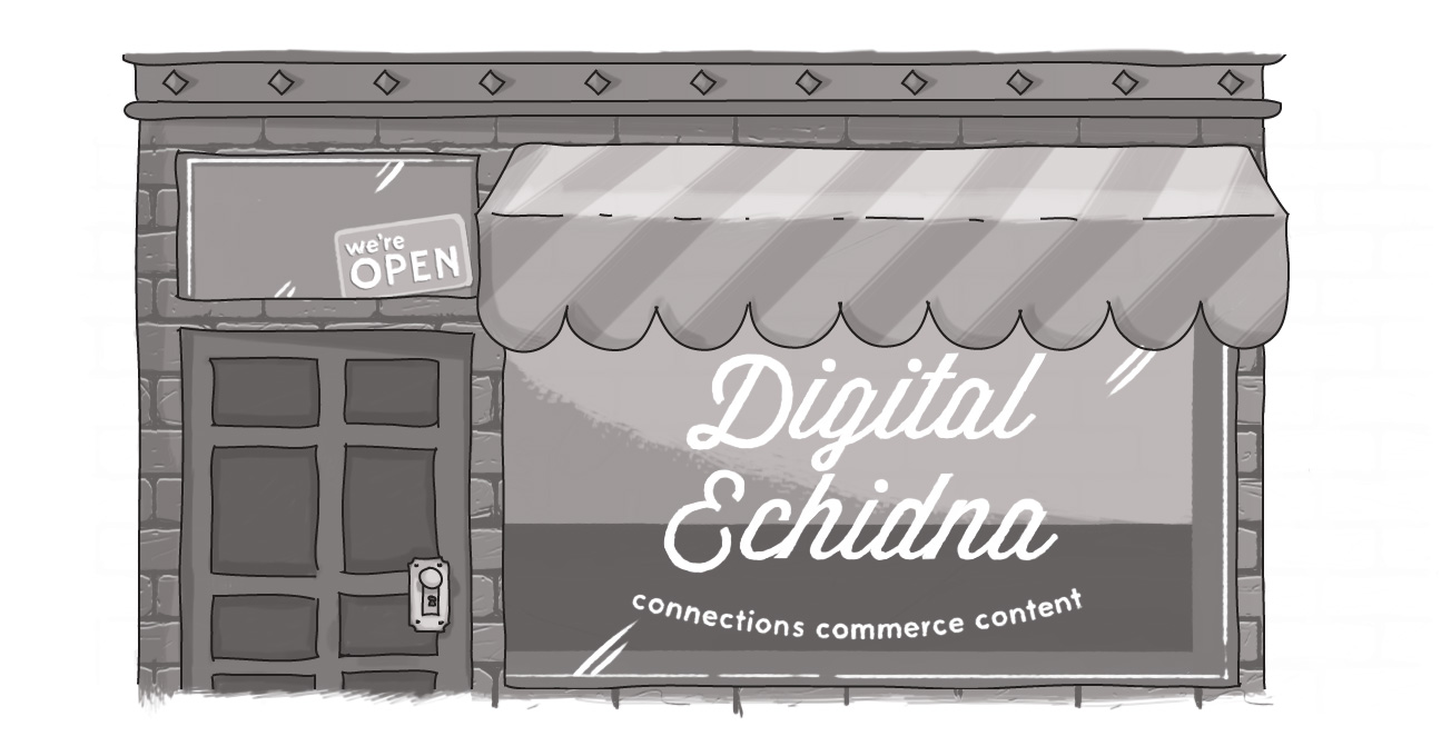 An image of a storefront, with Digital Echidna written on the window.