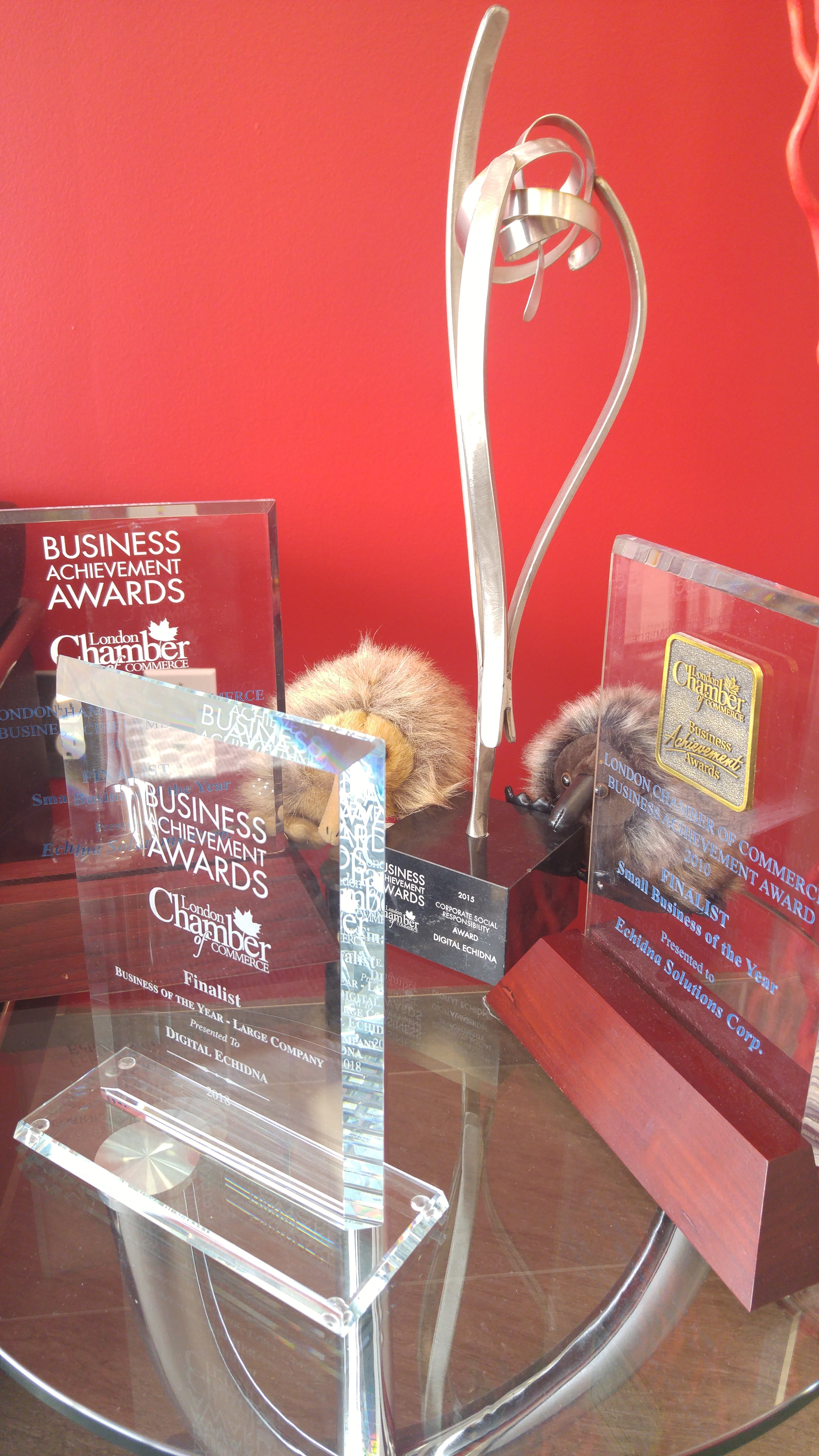 An image of the Business Achievement Awards that Digital Echidna has been nominated for and has won over the years.