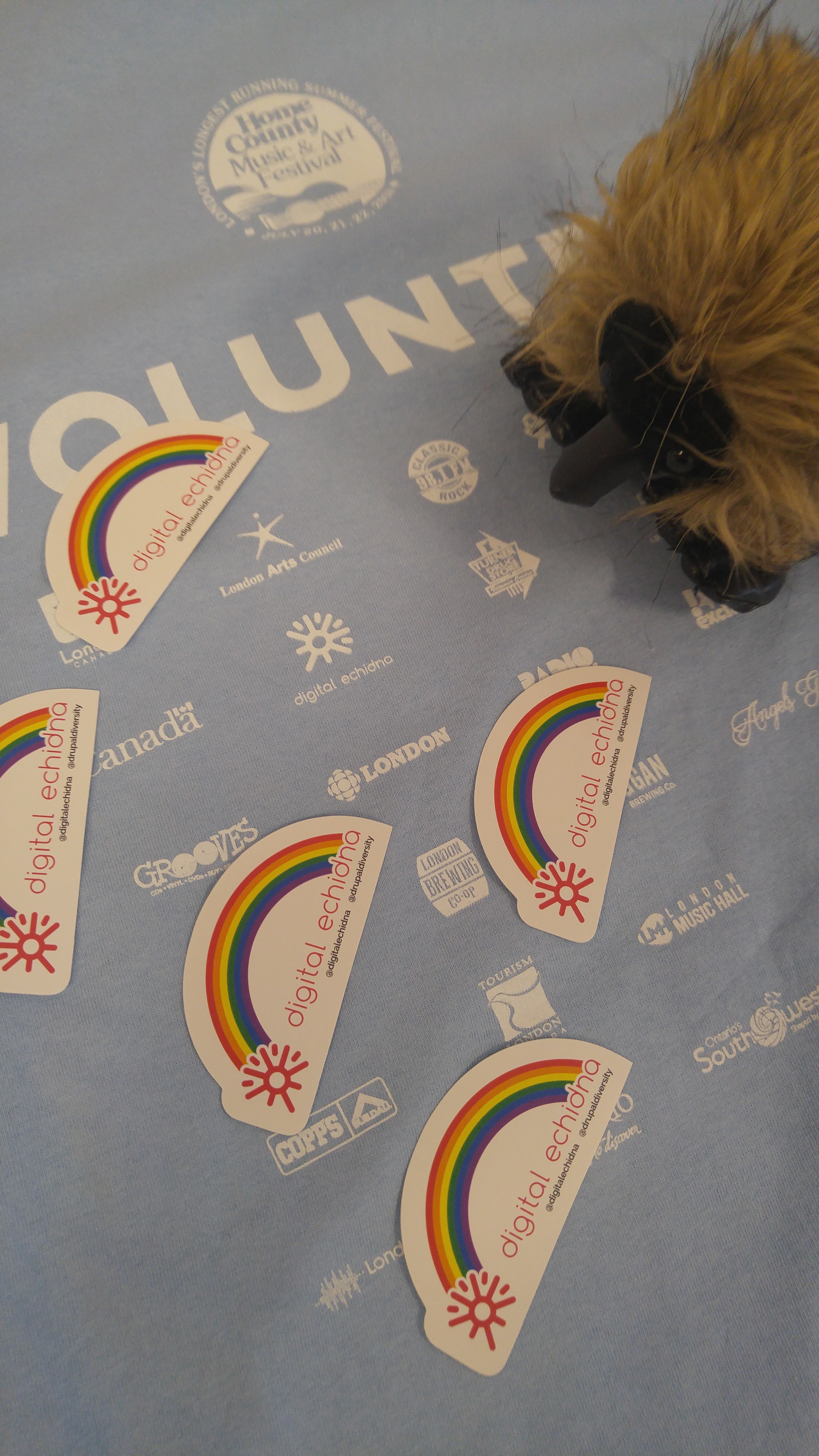 An image of a stuffed Echidna looking at a collection of Echidna Pride stickers surrounding Echida logo on Home County shirt.