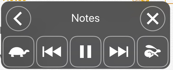 A screen capture of iOS' Speak Screen interface.