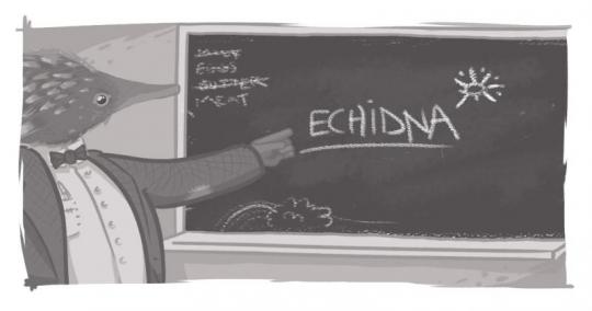 An image of an echidna at a blackboard, teaching.
