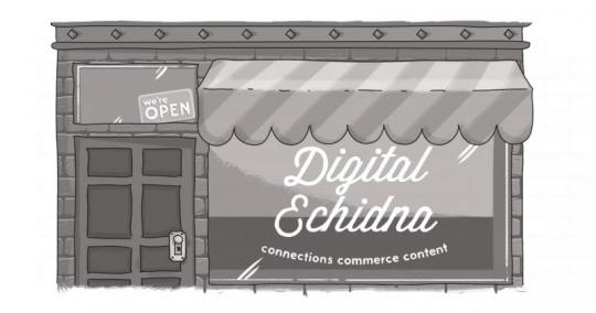 A storefront, with the window reading "Digital Echidna: Connections, Commerce, Content"