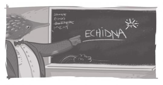 An image of an echidna, dressed as a teacher, in front of a blackboard.