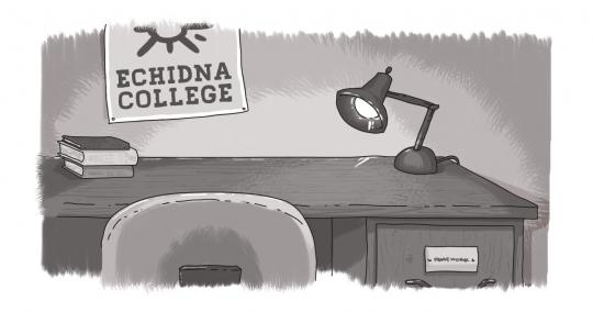 desk with Echidna College poster on wall