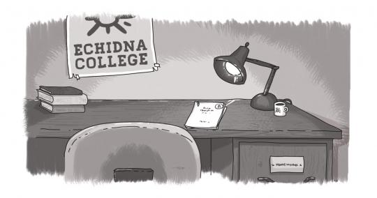 Echidna college, desk with books and homework
