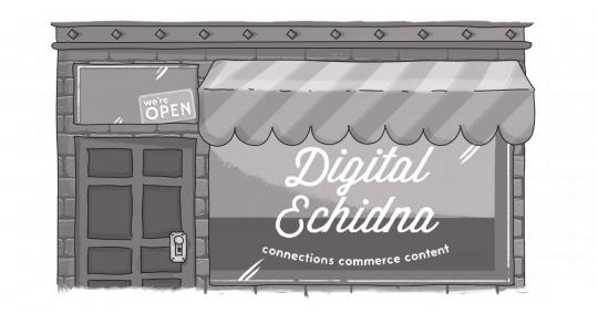 A store front that reads "Digital Echidna" with a we're open sign.