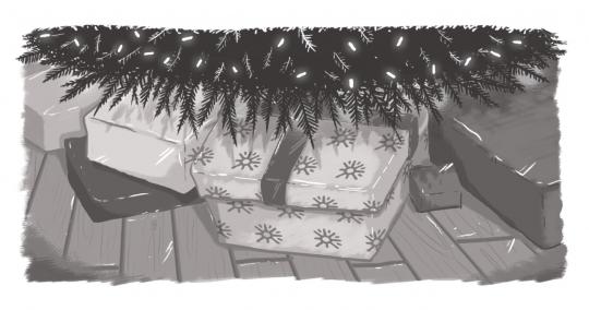 An image of a Christmas present under a tree, wrapped in Digital Echidna wrapping.